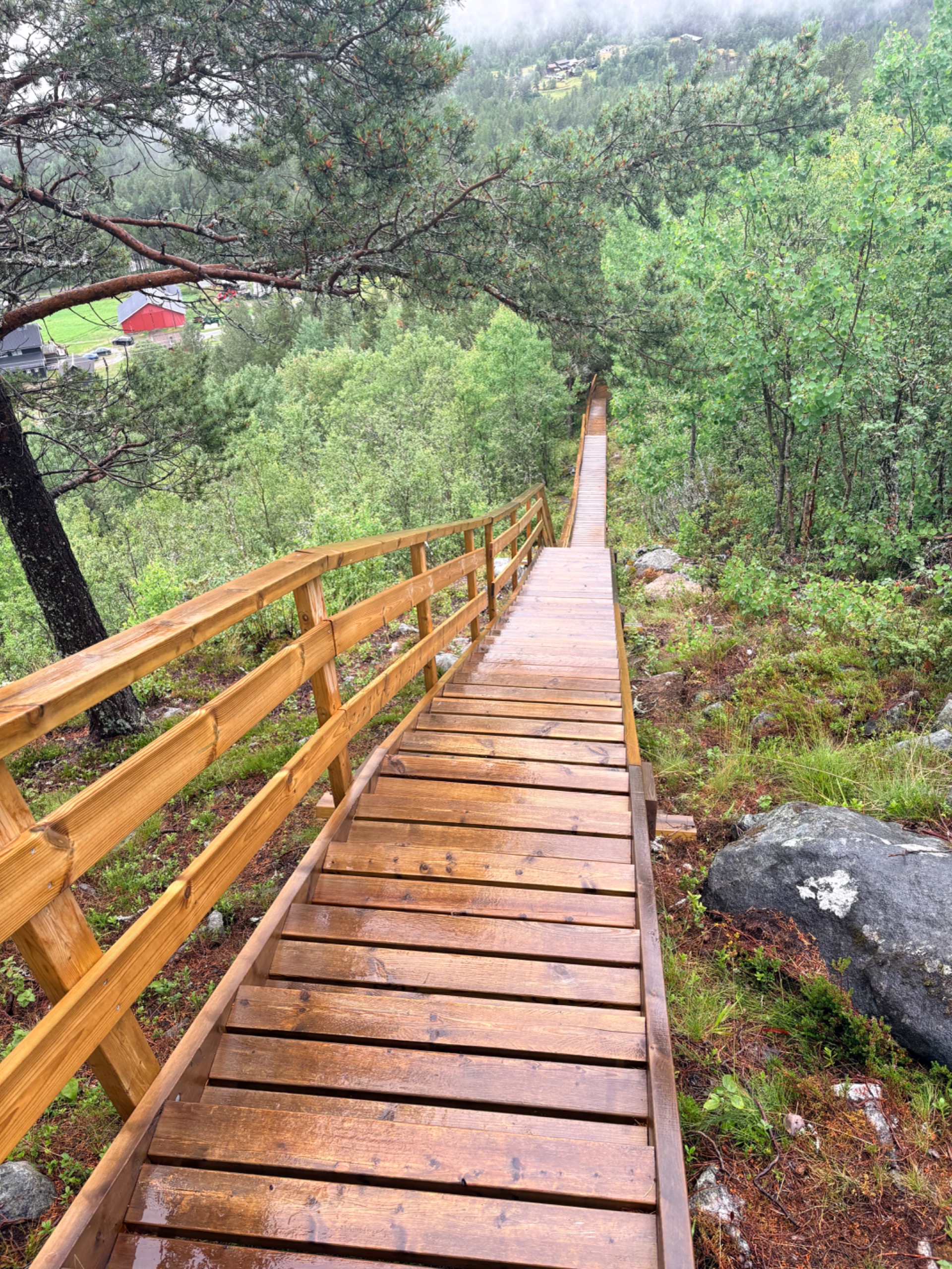 Hovdetrappa i Skurdalen