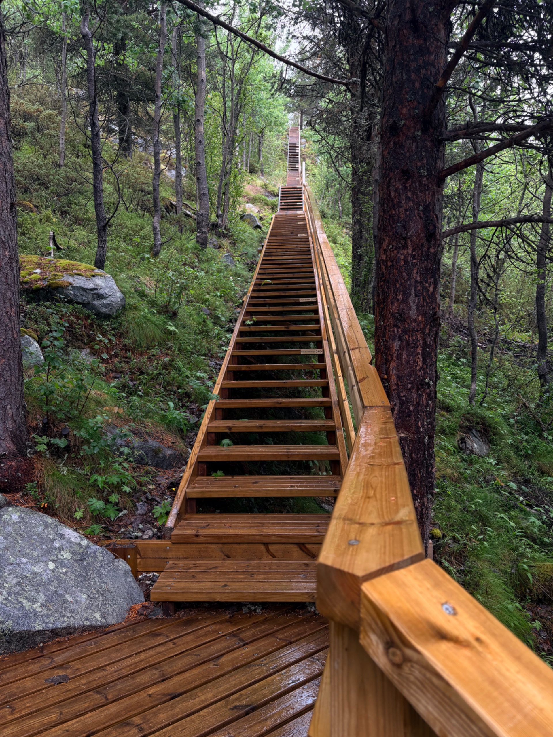 Hovdetrappa i Skurdalen